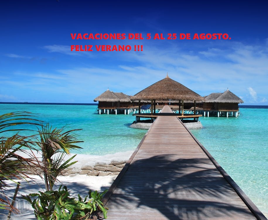 https://www.electroimanesjove.com/noticias/imgs/VACACIONES__2024-38238.jpg